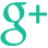 Google +, Ademogulları Seyahat
